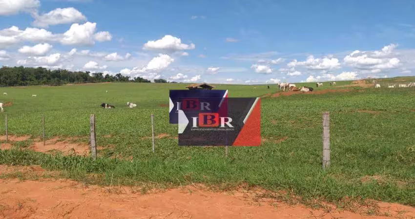 Fazenda em Penápolis - SP