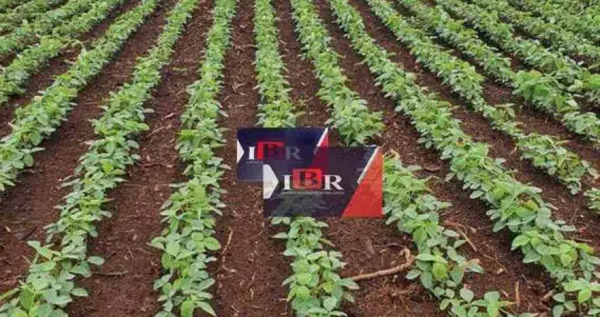 Fazenda à venda na Zona Rural, Miranda 
