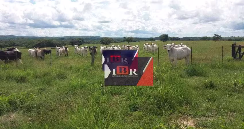 Fazenda à venda na Zona Rural, Nova Brasilândia 