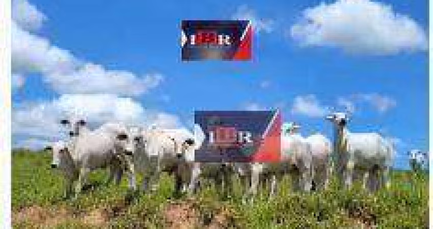 Fazenda em Marilia - SP