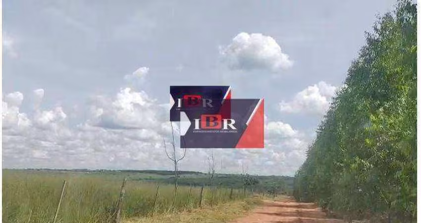 Fazenda em Avaré- SP