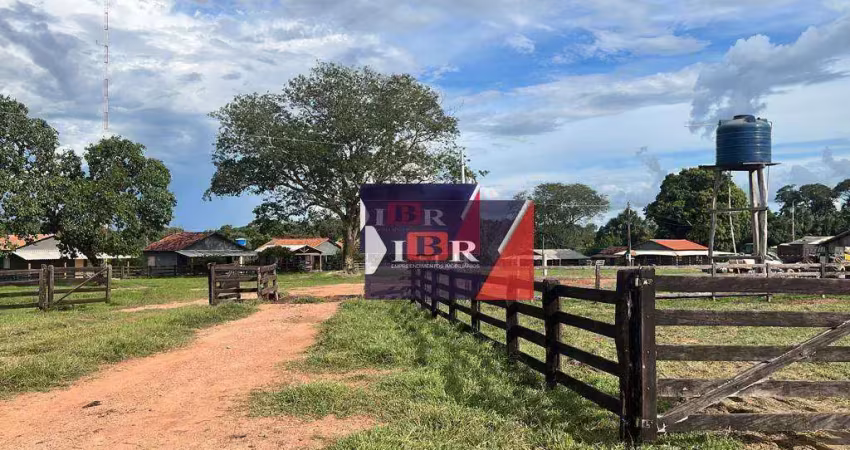 Fazenda à venda na Zona Rural, Barra do Garças 