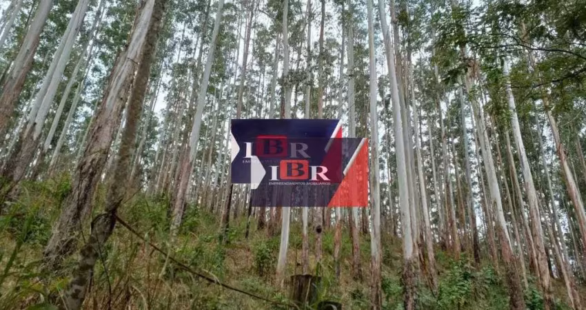 Fazenda em Juiz de Fora - MG