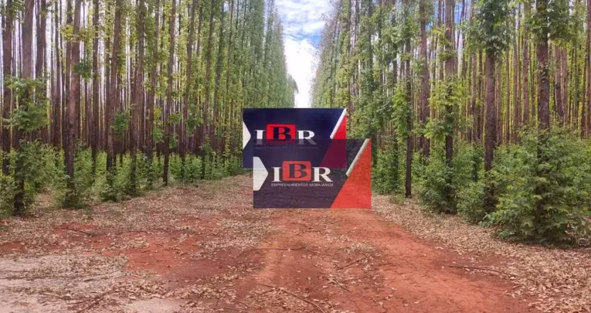 Fazenda à venda na Zona Rural, Bonito de Minas 