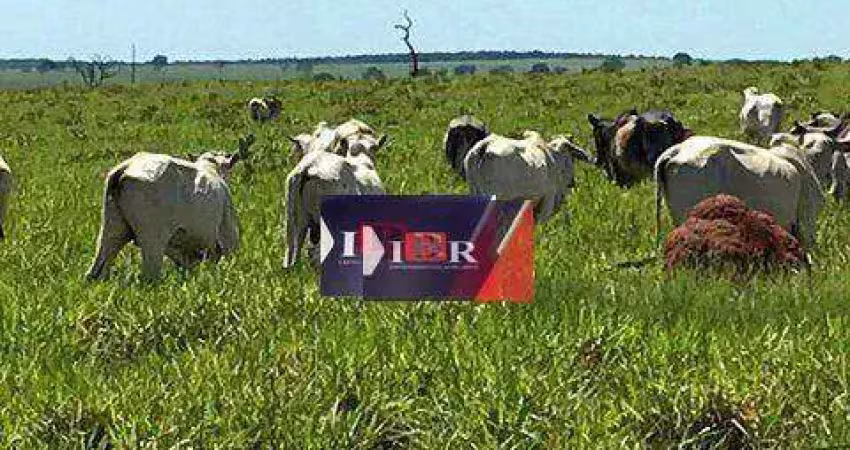 Fazenda à venda na Zona Rural, Água Clara 