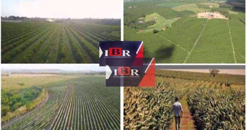 Fazenda em Patrocínio - MG