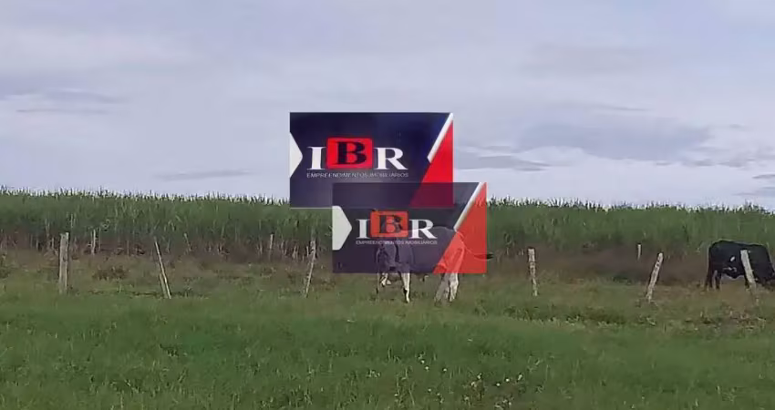 Fazenda à venda na Área Rural, Área Rural de Mineiros, Mineiros