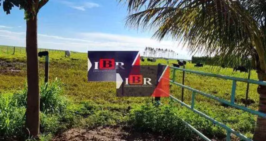 Fazenda em Lizarda - TO