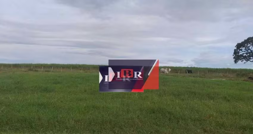 Fazenda à venda na Avenida Quarta, Área Rural de Mineiros, Mineiros