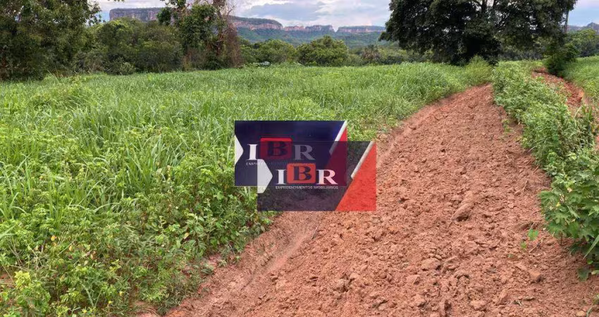 Fazenda à venda na Zona Rural, Ribas do Rio Pardo 