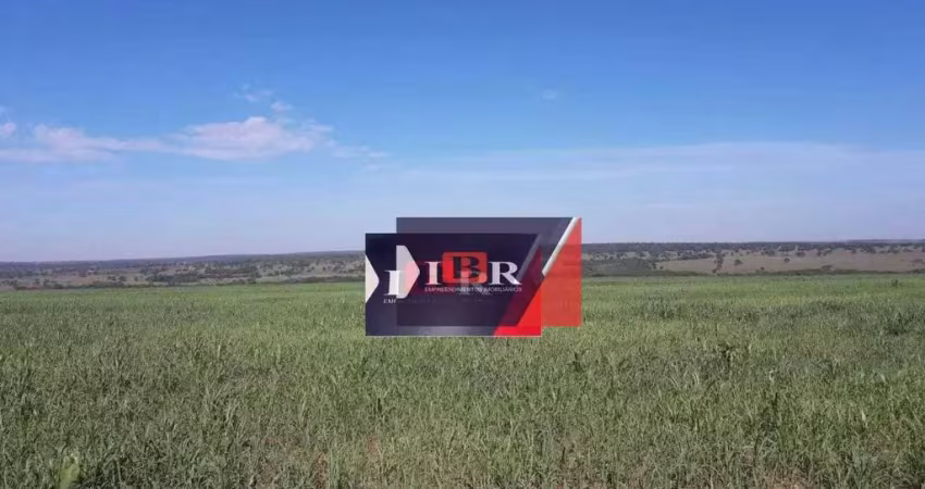 Fazenda à venda na Rua Anhandui, Zona Rural, Campo Grande