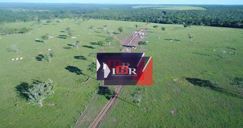Fazenda em Paranatinga - MT