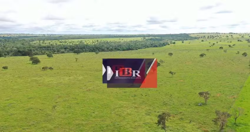 Fazenda à venda na Zona Rural, Paranaíba 