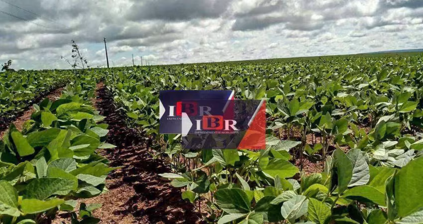 Fazenda à venda na Zona Rural, Poxoréu 