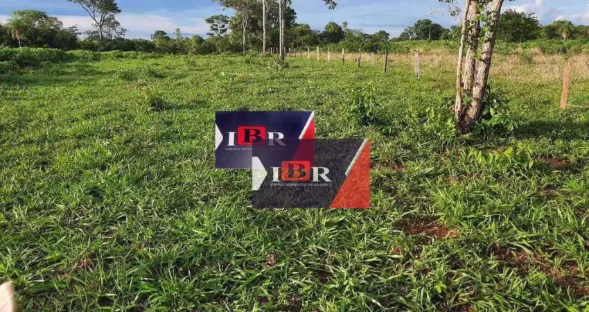 Fazenda à venda na Rua Druris, Zona Rural, Campo Grande