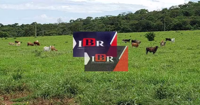 Fazenda à venda na Zona Rural, Terenos 