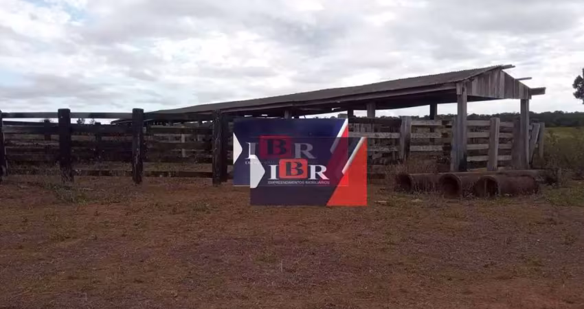 Fazenda à venda na Zona Rural, Nova Ubiratã 