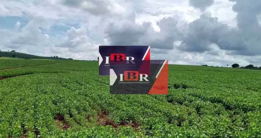 Fazenda à venda no Jardim Elvira, Paraíso 