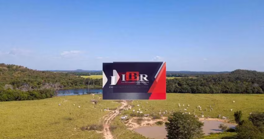 Fazenda à venda, 188000000 m² por R$ 350.000.000,00 - Zona Rural - Goiatins/TO
