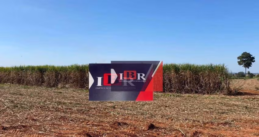 Fazenda em Pereira Barreto - SP
