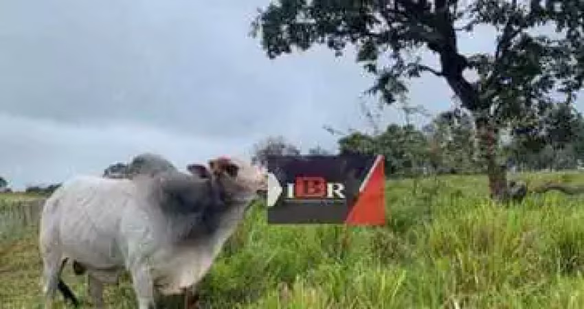 Fazenda à venda na Zona Rural, Dois Irmãos do Buriti 