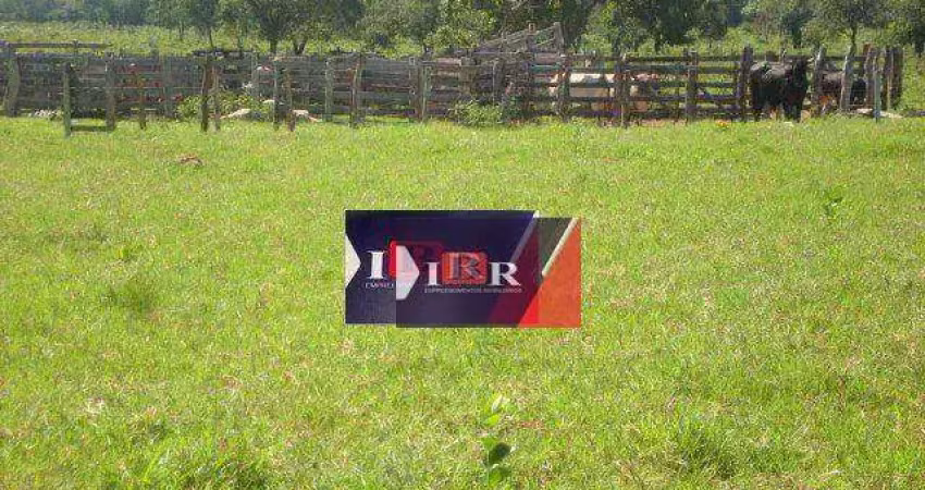 Fazenda à venda na Zona Rural, Terenos 