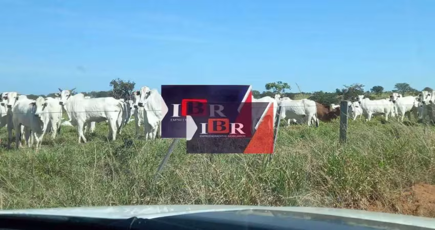 Fazenda à venda na Zona Rural, Água Clara 