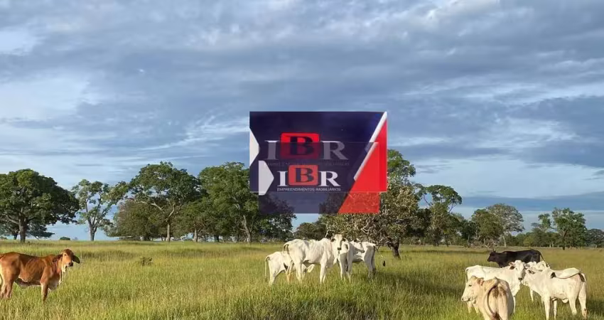 Fazenda à venda na Zona Rural, Inocência 