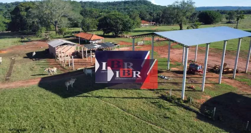 Fazenda à venda na Zona Rural, Pedro Gomes 