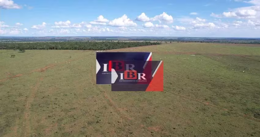 Fazenda à venda na Zona Rural, Chapadão do Sul 