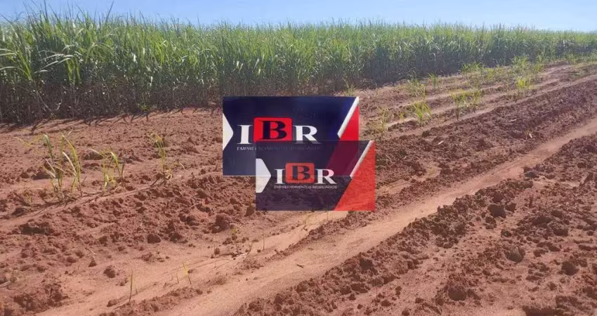 Fazenda à venda no Centro, Alto Taquari 