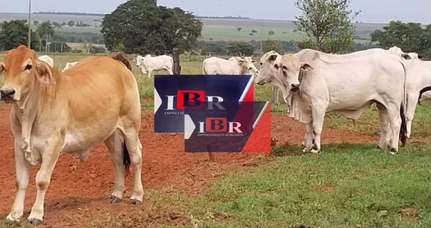 Fazenda em Naviraí  - MS