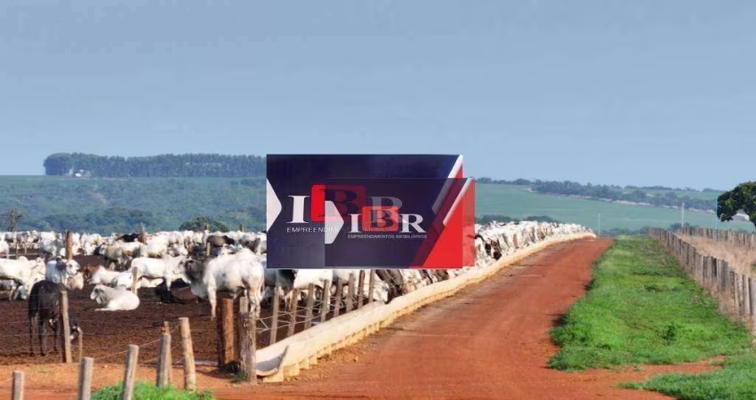 Fazenda em Paranatinga - MT