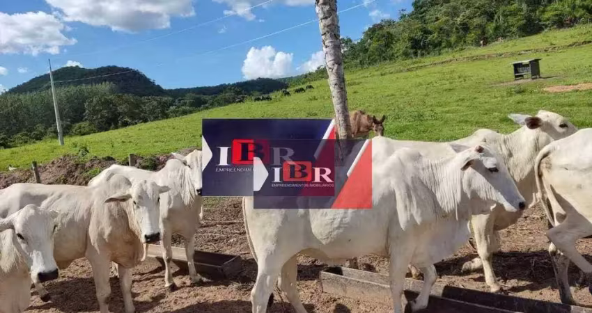 Fazenda à venda na Zona Rural, São Gabriel do Oeste 