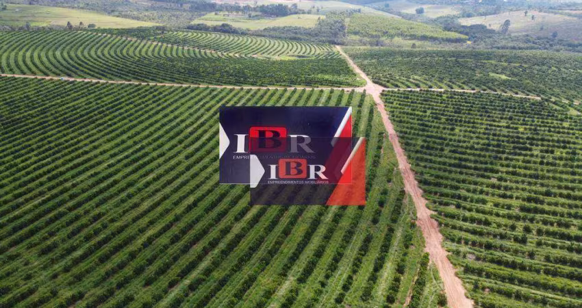 Fazenda em Avaré - SP