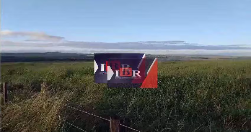 Fazenda à venda na Zona Rural, Paraíso das Águas 