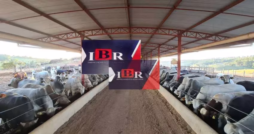 Fazenda em Botucatu - SP