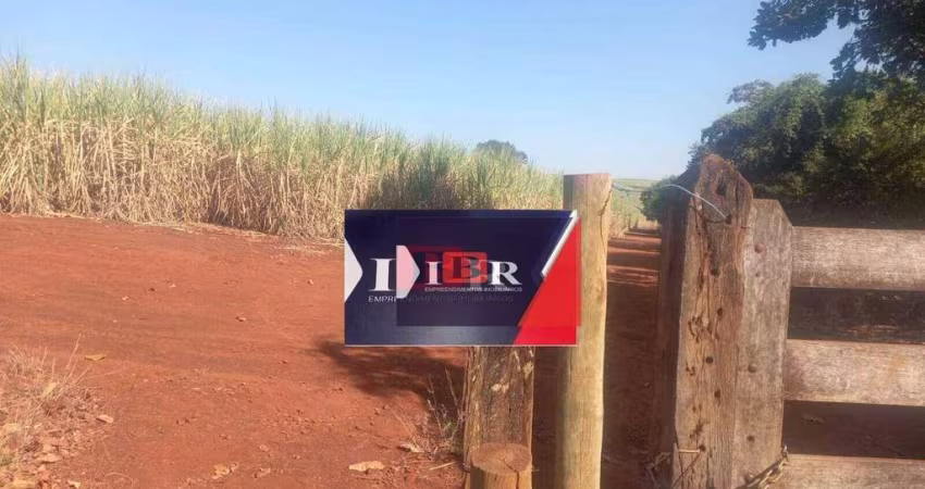 Fazenda em Franca - SP