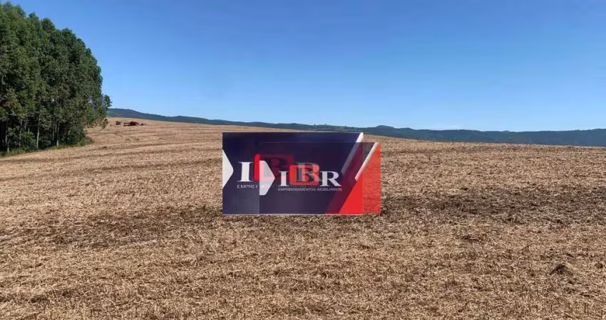 Fazenda em Paracatu  - MG