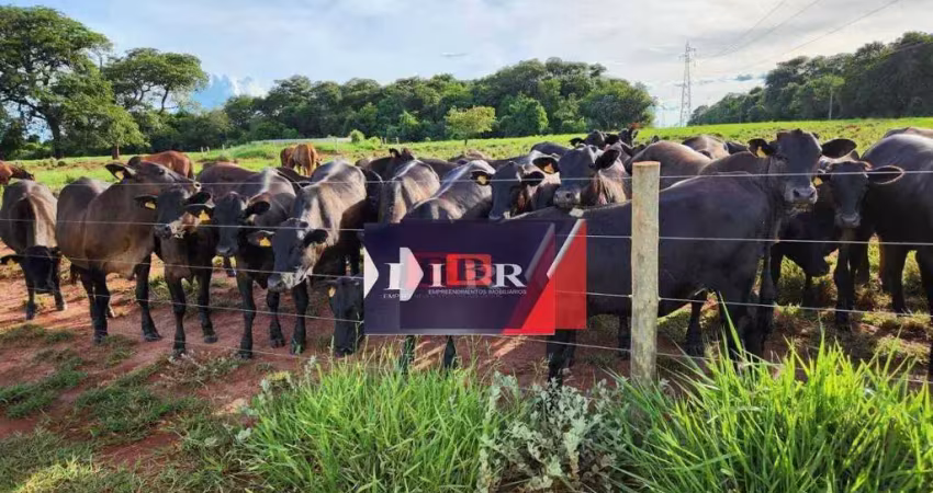 Fazenda à venda na Zona Rural, Aparecida do Taboado 