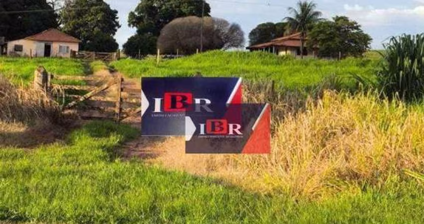 Sitio em Pereira Barreto - SP