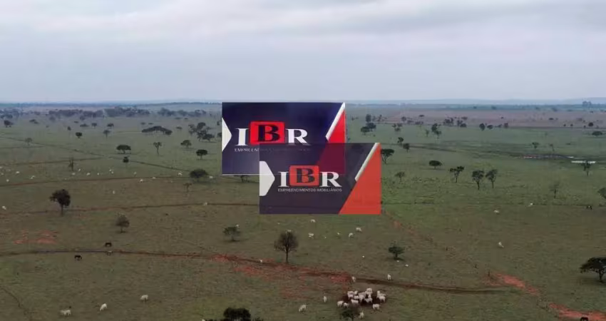 Fazenda à venda na Zona Rural, Amambaí 