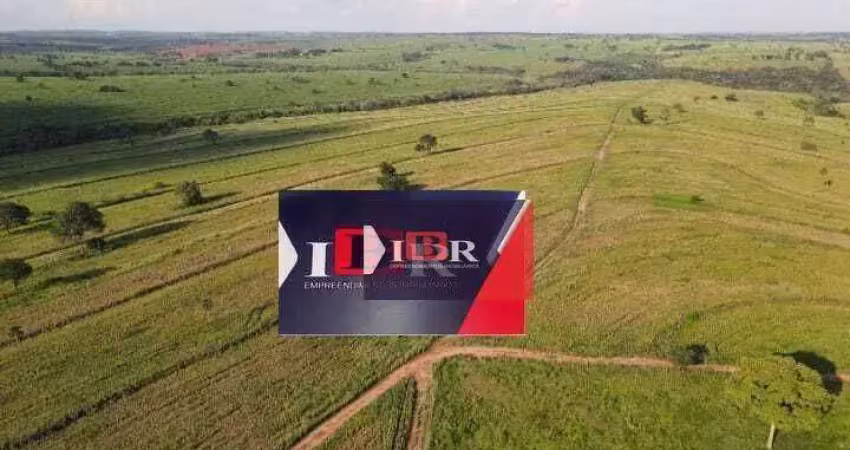 Fazenda em São Jose do Rio Preto - SP