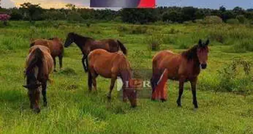 Chácara / sítio à venda na Rua Professor Armando Rizzo, Área Rural de Sorocaba, Sorocaba