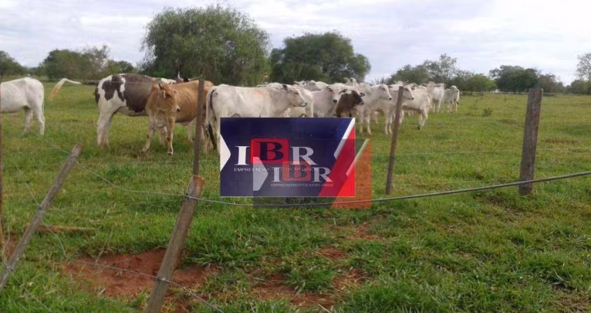 Fazenda em Presidente Prudente - SP