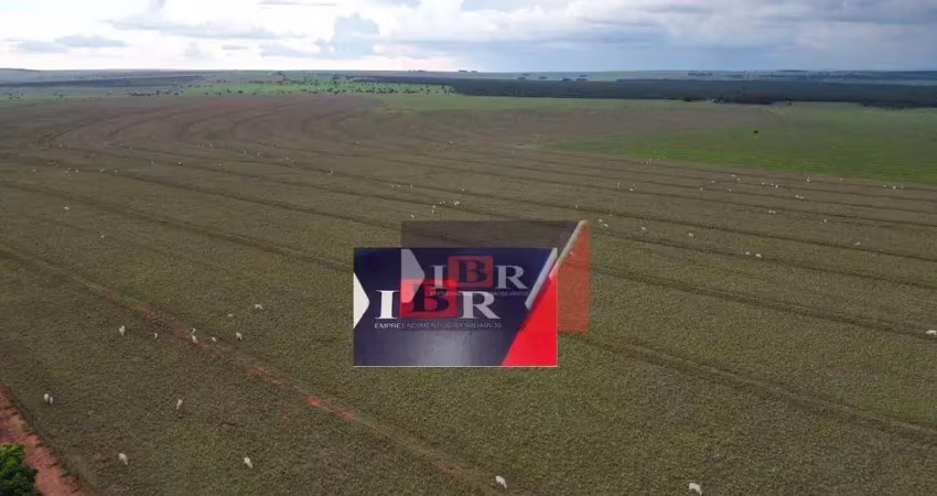 Fazenda à venda na Zona Rural, Ribas do Rio Pardo 