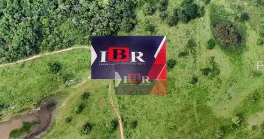 Fazenda à venda na Zona Rural, Rochedo 