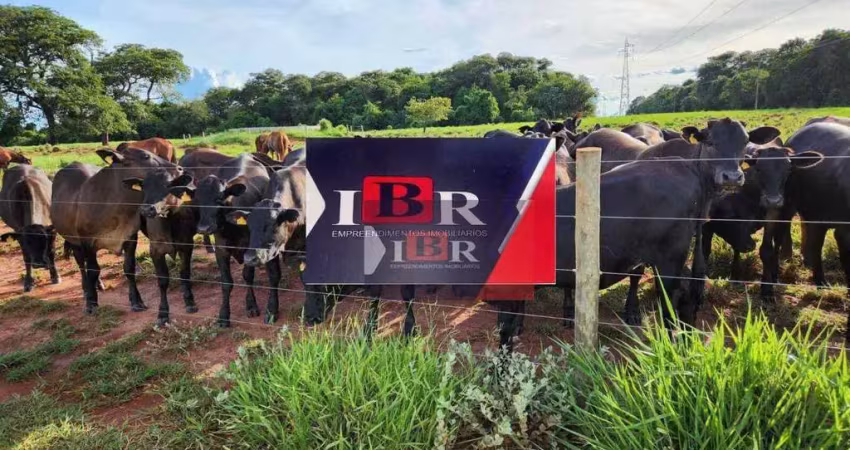 Fazenda à venda na Zona Rural, Aparecida do Taboado 