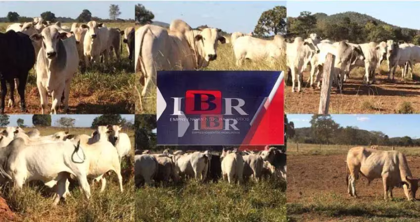 Fazenda à venda na Zona Rural, Cocalinho 