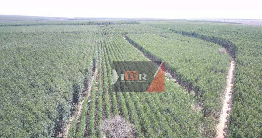 Fazenda à venda na Zona Rural, Cassilândia 
